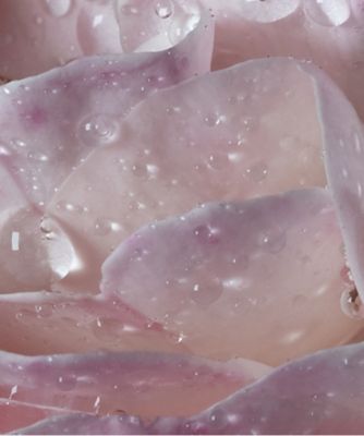 3700559612255_a-la-rose_eau-de