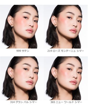 伊勢丹限定 Dior ルージュスキンブラッシュ 290  新品　おまけ5点付