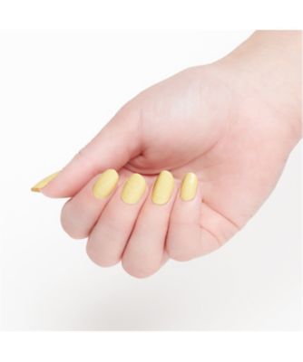 INCOCO（INCOCO） デインティー ダッフォディル（限定品） 通販