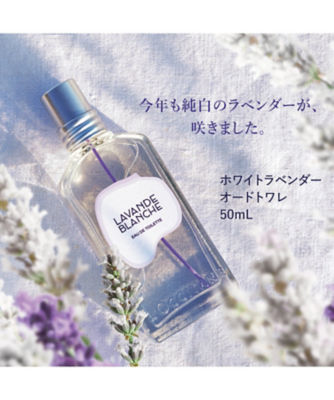 ロクシタン（LOCCITANE） ホワイトラベンダー オードトワレ５０ｍＬ