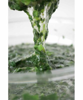 あおつぶパック　７５包（７５０粒）