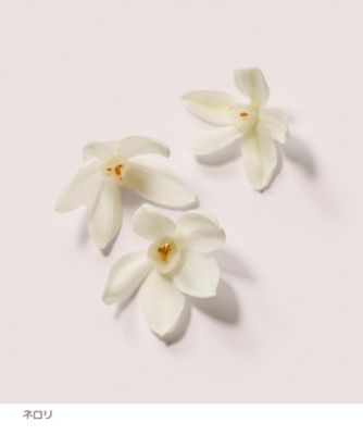 LAURA MERCIER（LAURA MERCIER） セラム ボディクリーム 通販