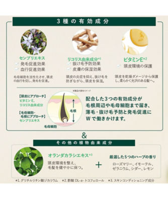 ロクシタン（LOCCITANE） 薬用 メディカル アンチヘアロスセラム