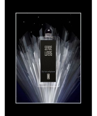 SERGE LUTENS（SERGE LUTENS） Ｎｕｉｔ ｄｅ ｃｅｌｌｏｐｈａｎｅ／ニュイドゥセロファン 通販 |  【meeco（ミーコ）】三越伊勢丹ブランドコスメ・デパコス・化粧品の通販