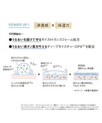 ORBIS（ORBIS） オルビスユー エッセンスローション 限定ボトル入り