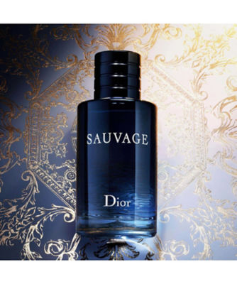 Dior SAUVAGE ディオール ソヴァージュ オードゥ パルファン コフレ-