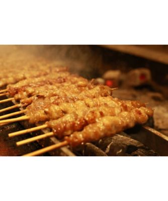 とり皮串の詰合せ（博多たまり醤油・スモーク・塩） | フード・食品