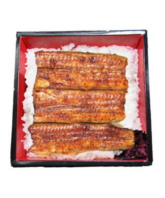 新橋　ての字/シンバシ　テノジ 【丑の日】【店頭受取／日本橋】国産うなぎ弁当（小）　７月３０日（日）お渡し