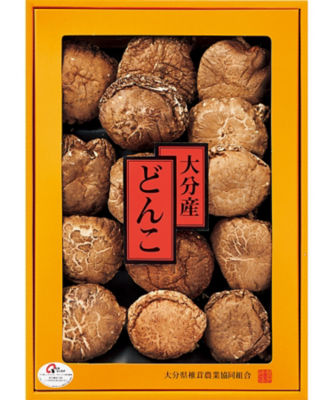 もこたんさま専用 大分県特産 生どんこ椎茸「秋子」ダブルチーズフォンデュ椎茸餃子など