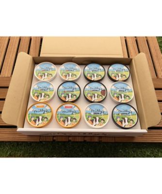 本格ジェラートミリーズ　１２個セット