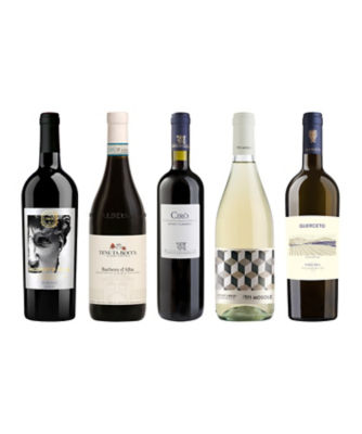 ０６５．イタリアワイン専門インポーターが選ぶ、バローロ入り春のイタリア赤・白ワイン５本セット