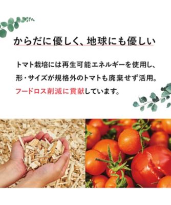 Ｈ Ｔｏｍａｔｏ Ｓｕｐｐｌｅｍｅｎｔ（機能性表示食品） | フード