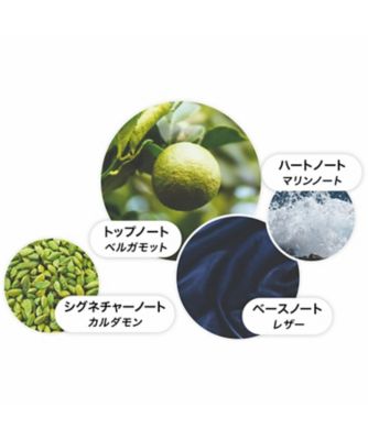 【残約9割】モルトンブラウン オードパルファン サイプレス　100ml サイプレス&シーフェンネル オードパルファン / モルトン