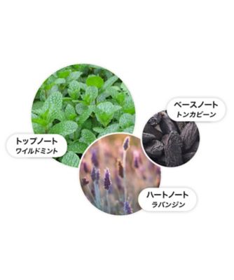モルトンブラウン（MOLTON BROWN） ワイルドミント＆ラバンジン