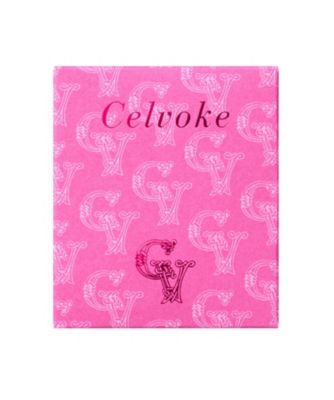 未使用^_^celvoke★ZOZO限定キット Celvoke / シームレス フェイスパレット（コンシーラー