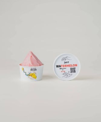 ★【産直】京都丹後のフルーツを使用したライスジェラート　おまかせ６個セット