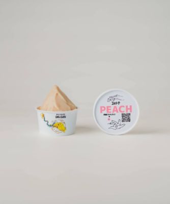 ★【産直】京都丹後のフルーツを使用したライスジェラート　おまかせ６個セット