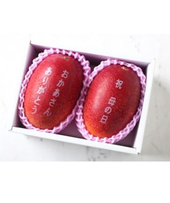 ＜三越伊勢丹/公式＞ SUN FRUITS/サン・フルーツ 226．宮崎西都産 完熟マンゴー 果物・冷凍フルーツ【三越伊勢丹/公式】