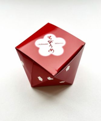 【菓遊庵おまとめ】石川／ちびうめ