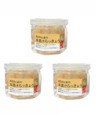 ＜ISETAN MITSUKOSHI THE FOOD＞【ＤＡＩＬＹおまとめ】鳥取砂丘産本漬けらっきょう　３個セット