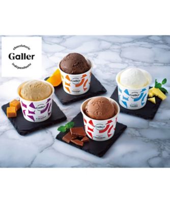 １０２００　＜Ｇａｌｌｅｒ＞プレミアムアイスクリームセット　計１２個