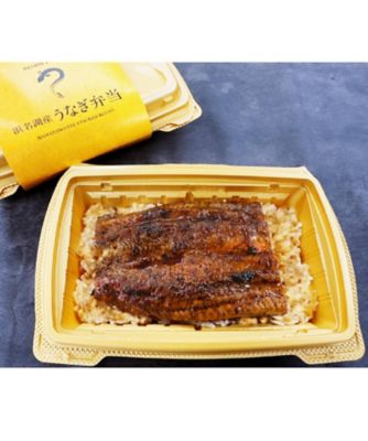 おいしいプラス/オイシイプラス 冷凍うなぎ弁当　２折セット