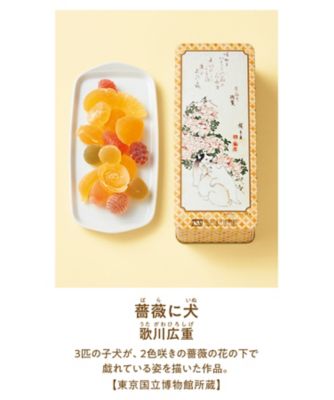 彩果の宝石ゼリーアソートの通販 | 三越オンラインストア