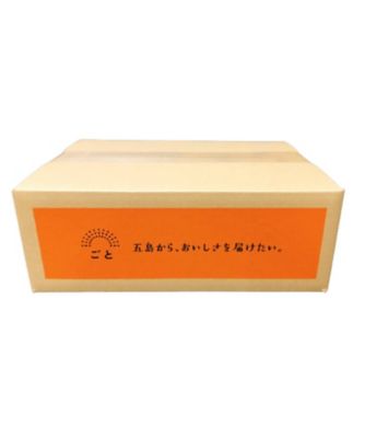 五島のやさしい鯛出汁カレー　バラエティーセット
