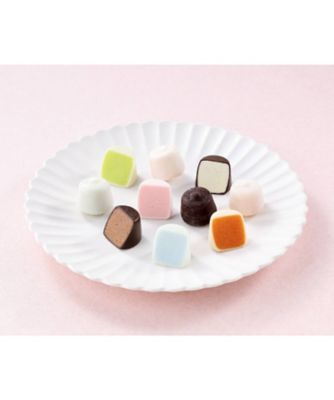 ひとくちジェラートボックス（４８個入）