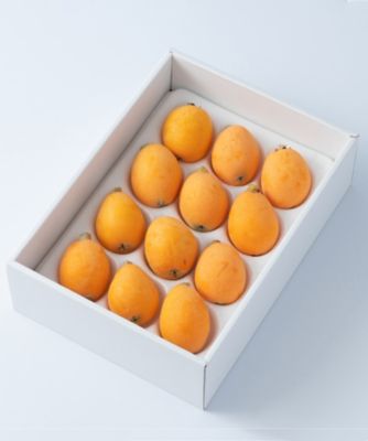 ★【産直】長崎県産びわ（５００ｇ）