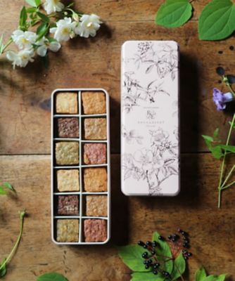 TEA PASTRIES/ティーペイストリーズ 【スコパおまとめ】★ココロードクッキー