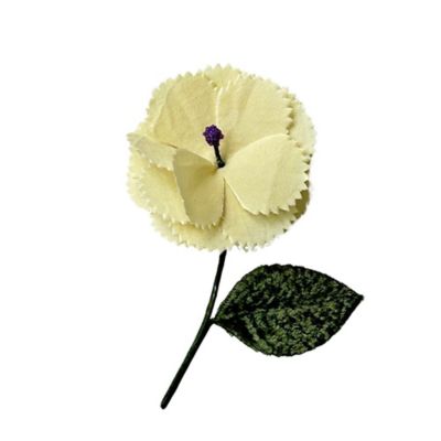 ＣＯＲＳＡＧＥ　２５－０５５１