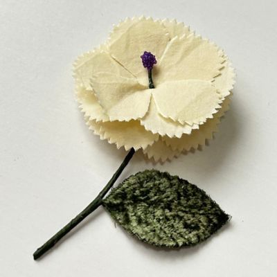 ＣＯＲＳＡＧＥ　２５－０５５１