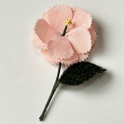 ＣＯＲＳＡＧＥ　２５－０５５１