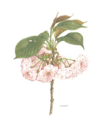 定期講座 植物画 ボタニカルアート 満席 美術 絵画 の通販 三越オンラインストア