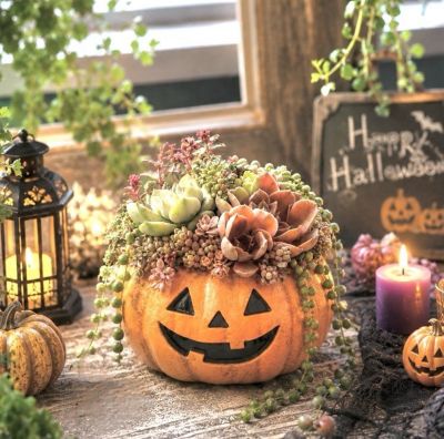 10月11日（日）午後2時～4時 多肉植物のハロウィンアレンジ