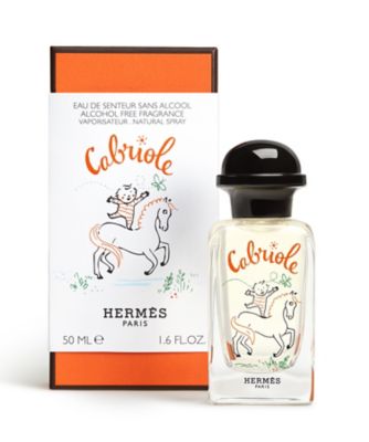 エルメス　ガブリオル　オードゥサントゥール　香水 カブリオル オー ドゥ サントゥール 50ml(B24D0195)｜コスメ