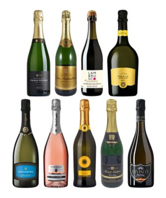 ０７２．【ＷＥＢ限定】シャンパーニュ入り　世界の辛口スパークリング９本セット