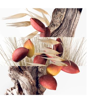 Hermès（Hermès） シテールの庭ヘアミスト 通販 | 【ISETAN