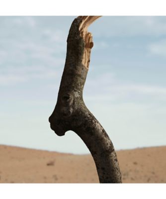 香水(ユニセックス) BURBERRY OUD STORM 100ml Burberry Oud Storm EDP