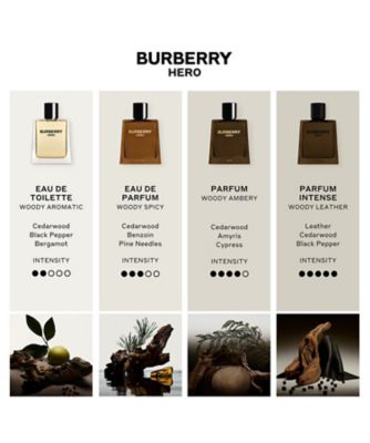 BURBERRY バーバリー　ヒーロー　オードトワレ　50ml バーバリー ヒーロー オードパルファム 50mL - メンズ