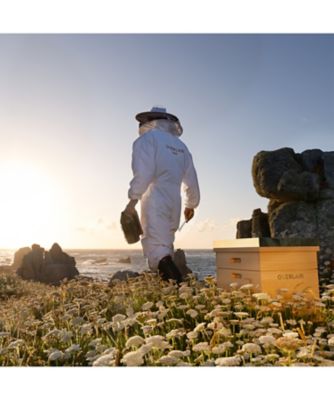 GUERLAIN（GUERLAIN） アベイユ ロイヤル ビー ラボ ショット 通販