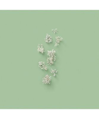 GUCCI beauty（GUCCI beauty） グッチ 1921