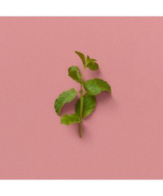GUCCI beauty（GUCCI beauty） グッチ ア グローミング ナイト