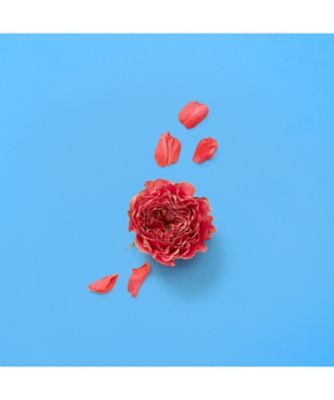 GUCCI beauty（GUCCI beauty） グッチ ア ソング フォー ザ ローズ