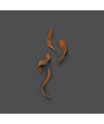 GUCCI beauty（GUCCI beauty） グッチ ザ ボイス オブ ザ