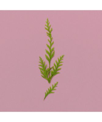 GUCCI パフュームウォーター GUCCI beauty（GUCCI beauty） グッチ ア ウインター メロディー