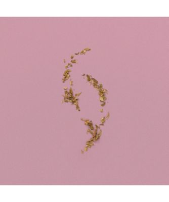 GUCCI beauty（GUCCI beauty） グッチ フェーディング オータム