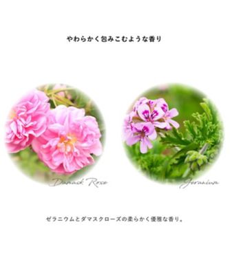 オサジ（OSAJI） オサジ エンリッチバイオ デュオ セット セラム