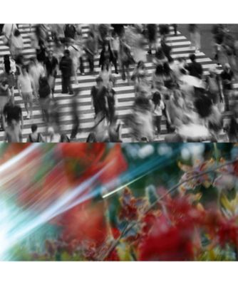 athletia（athletia） オードパルファン LOST IN THE